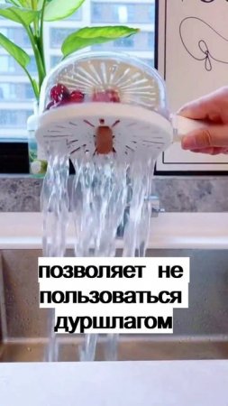Такой контейнер для мытья фруктов