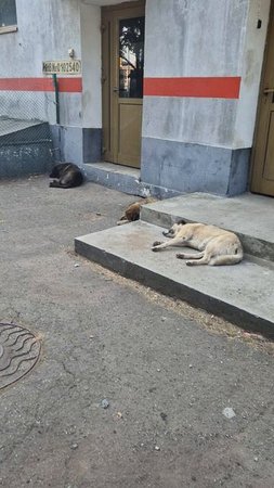 Перебрали немного.🤣🤣🤣🤣🤣