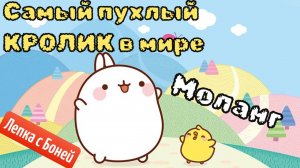 Самый пухлый КРОЛИК в мире - Моланг