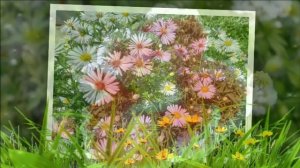 Летнее настроение