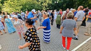 12.07.25г... "Я спросил Вчера у Листопада"