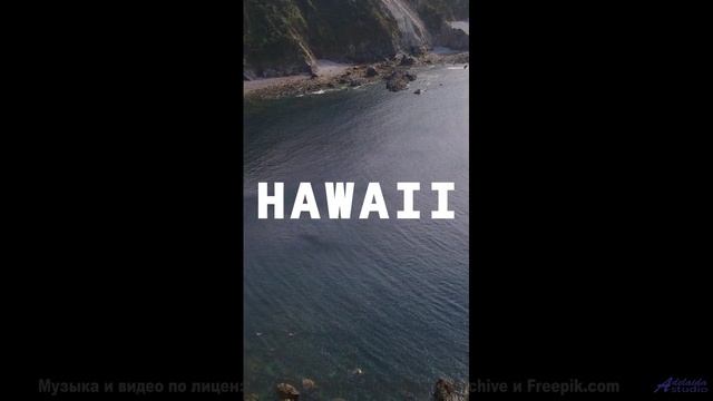 Музыка пробуждает забытые чувства за секунды - The Whales Bay -- Omura -- The Whales Bay