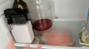 Почему в холодильнике скапливается вода?