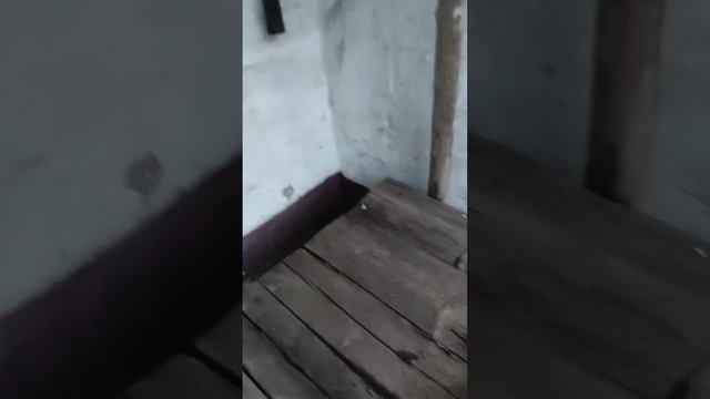 Выбесила