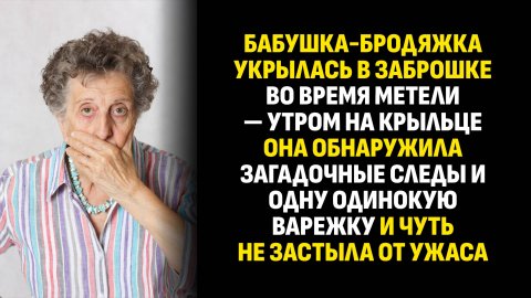 Жизненные истории. Бабушка-бродяжка укрылась в заброшке во время метели. Слушать аудиорассказ