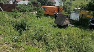 14.06.2025.Усадьба Парк Кино Ляхово. Парк Сибирских Кошек. Домодедово. Обзор проведённых работ. Моск