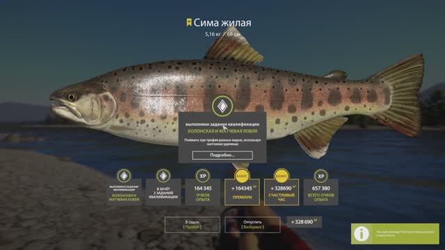 Русская рыбалка 4 Сима жилая на реке Яма