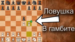 МОЯ ЛЮБИМАЯ ловушка В КОРОЛЕВСКОМ гамбите!!