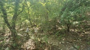 ЗАБРОШЕННЫЕ ГРОЗОВЫЕ ВОРОТА, ГЕЛЕНДЖИК 2025