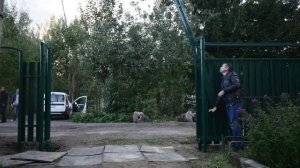 Откатные ворота _Элькадор_