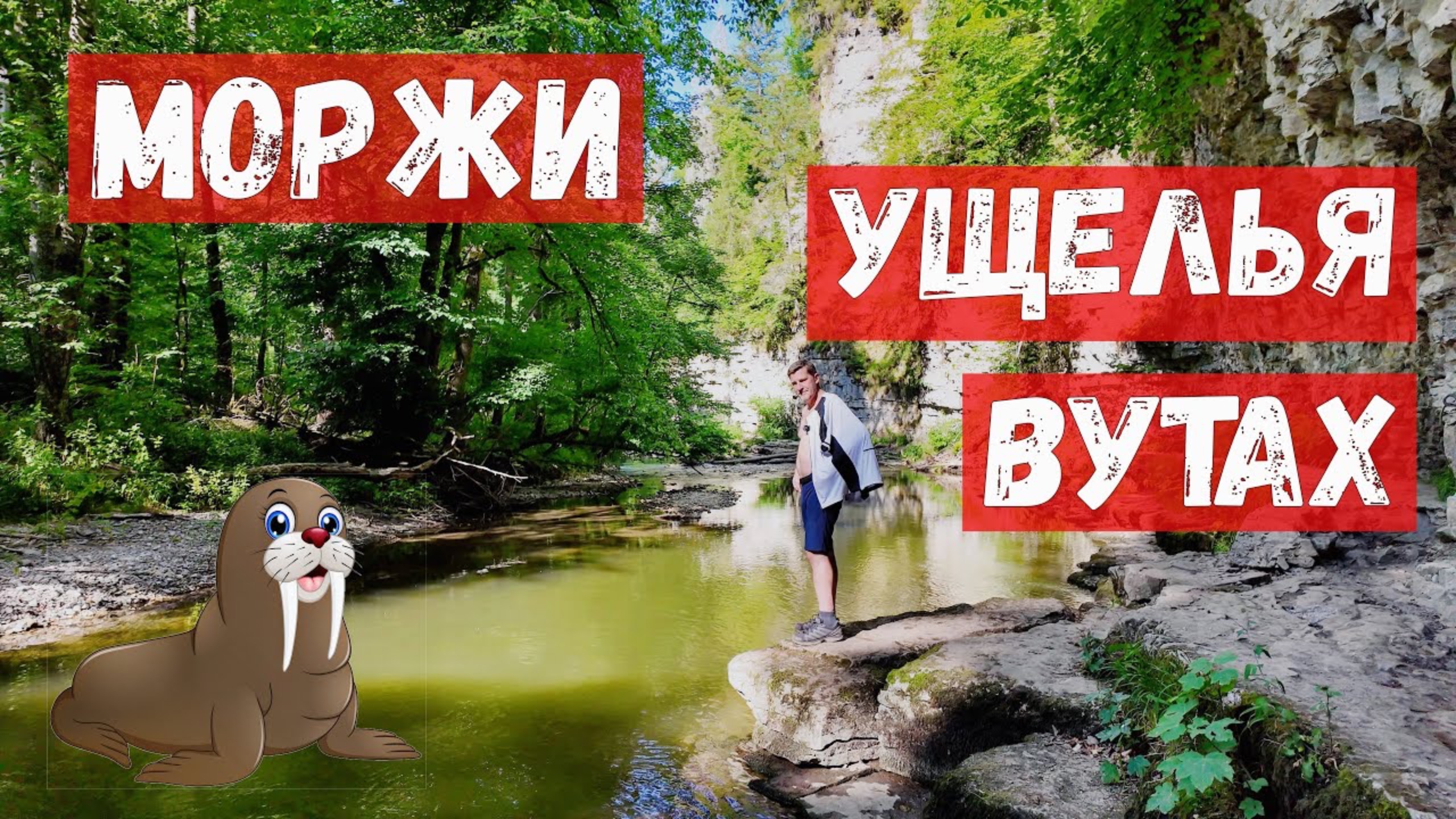 83/ Панама из лопуха. Подземная река. Наше спасение. Мухи радуются.