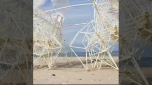 Кинетическая модель