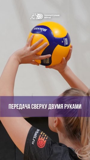 Рассказываем про правильность выполнения передачи сверху двумя руками ✅