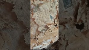 гуляем по заброшенной деревне
