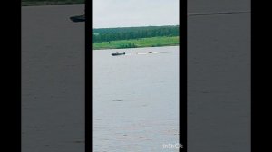 Вложик выходного дня. Купаемся, загораем с внучкой и племянницей. Смешной пудель.