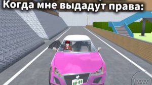 Пов: Если бы мне выдали права