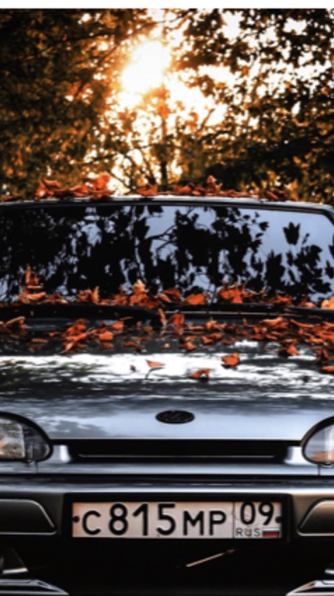 Телеграмм канал смотреть онлайн