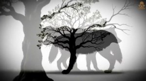 Веганство и пищевое просветление: ПРАВДА или красивая ИЛЛЮЗИЯ?