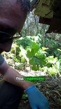 TG: nexpertGM ГАЙКИ ВИДИШЬ? НЕТ! А ОНИ ЕСТЬ!  #shorts #независимыйэксперт #георгиймедведев