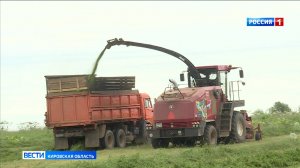 В хозяйствах Кировской области полным ходом идет «Зеленая жатва»