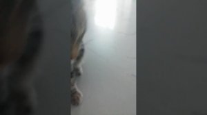 VID_20250714_093823.mp4