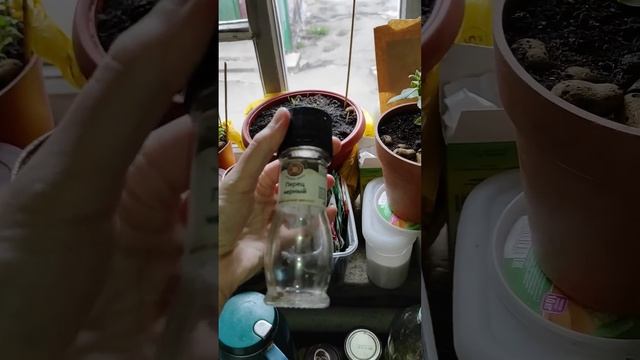 Доброе утро с Мамой#мамаидочь#лерахаас#еда#завтрак