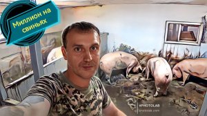 Разоблачение канала" Миллион на свиньях"!