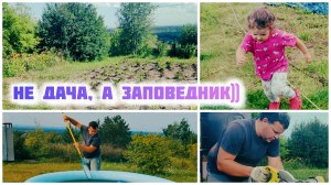 Почти поймали 😆 зайца 🐰 + Бассейн, огород, верстак! 69  выпуск
