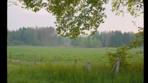 #176 Morning routine | Ghibli life in the German countryside