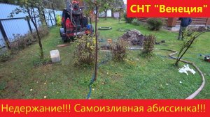Недержание!!! Самоизливная абиссинка 36 м. СНТ "Венеция".