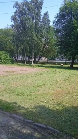 Как же пахнет
