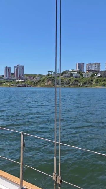 Владивосток с воды: роскошная прогулка на катере, от которой захватывает дух