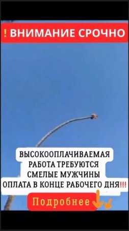 Вакансия!