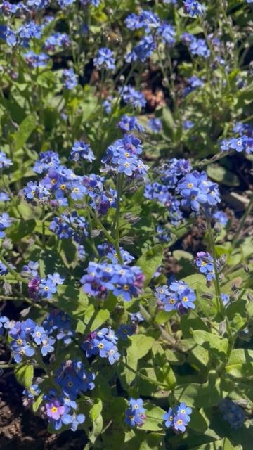 Ялта 💖💖💖