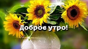 Доброе утро! Солнечного настроения! Красивая музыкальная открытка с Добрым утром