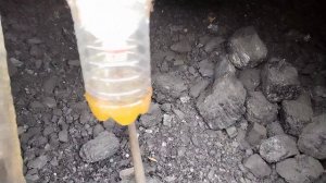 Купила саженцы.🌱🌱🌱 Подвязала помидоры.🍅🍅🍅