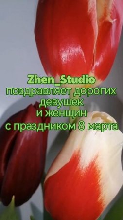 Zhen_Studio поздравляет всех девушек и женщин с 8 марта.