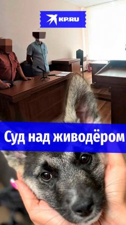 Мужик с ружьем расстрелял в упор щенка на Ставрополье и пошел под суд