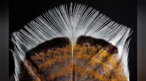 Притча Сара и старые туфли