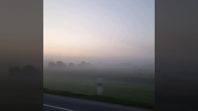 утро,4 час
