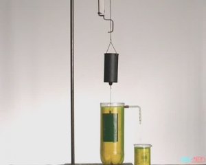 Физика. Опыты. Закон архимеда