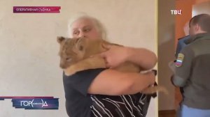 В Москве изъяли львят-пленников: их использовали для фотосессий / Город новостей на ТВЦ