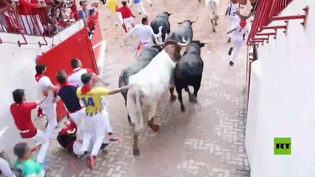 جرحى في اليوم الأخير من مهرجان سان فيرمين لسباقات الثيران في إسبانيا