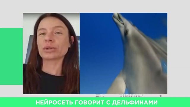 Металл против мышц. ИИ-переводчик для дельфинов. ChatGPT делает игрушки. #ai #robotics #technology