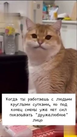 Держится из последних сил
