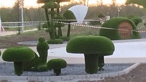 Новости комсомольского парка