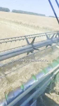 Результаты АКР в Болгарии. Урожайность 5,4 тонн #агроном #сельскоехозяйство #озимый рапс
