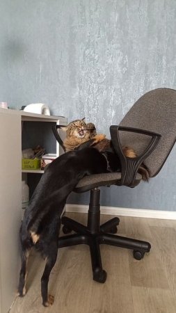 Не могут друг без друга