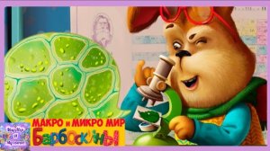 Барбоскины: Макро и Микро Мир. Узнаем новое вместе с Геной