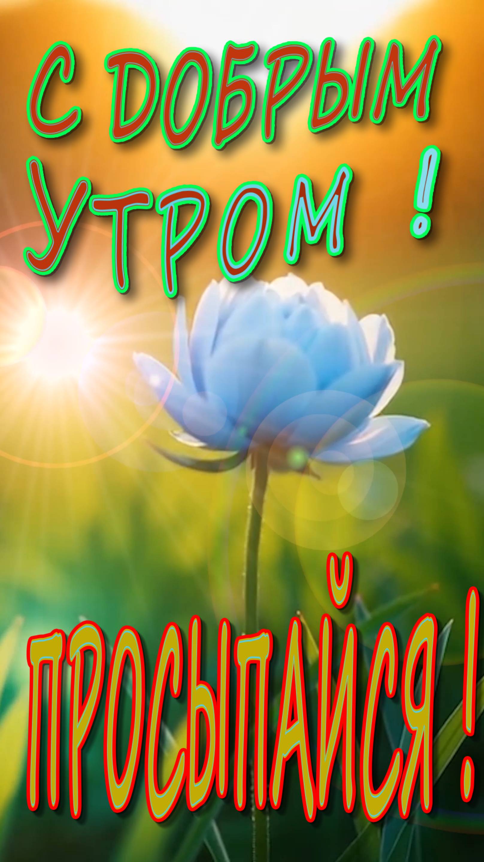 С Добрым утром !